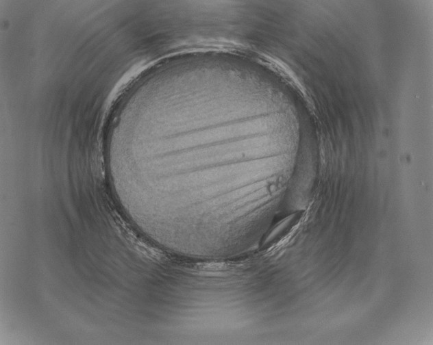 X0000075861172200610151628