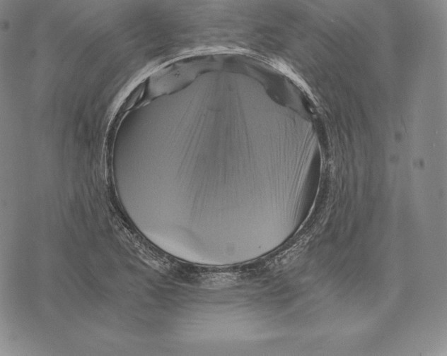 X0000075861173200610151628