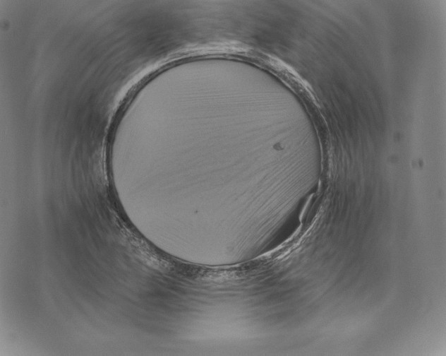 X0000075861174200610151628