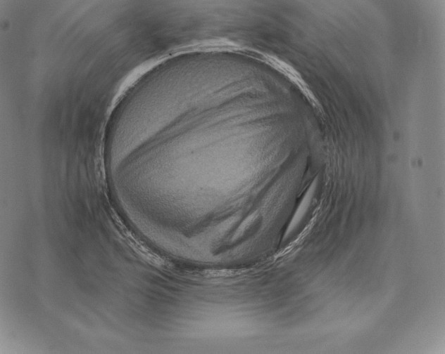 X0000075861176200610151628