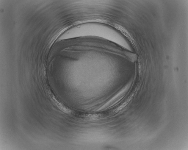 X0000075861177200610151628