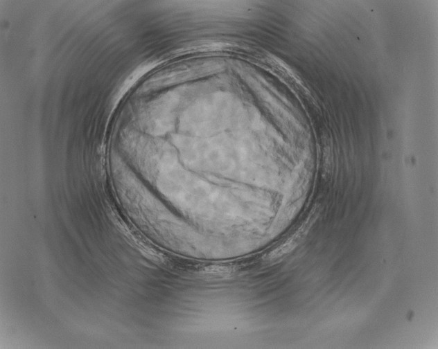 X0000075861178200610151628