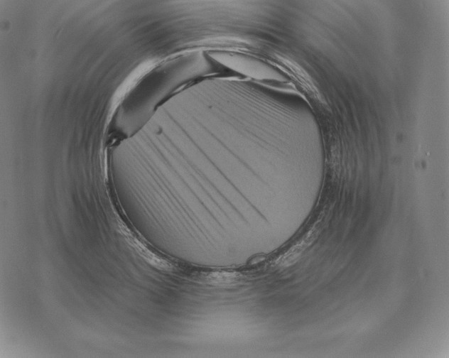 X0000075861180200610151628