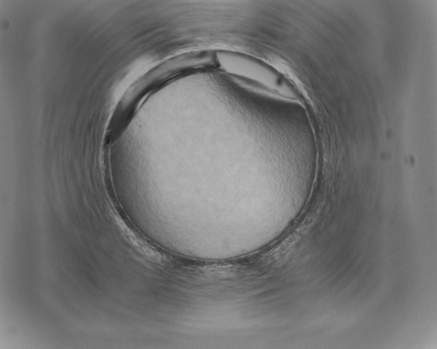 X0000075861181200610151628