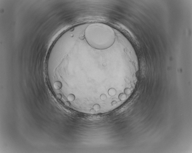 X0000075861182200610151628