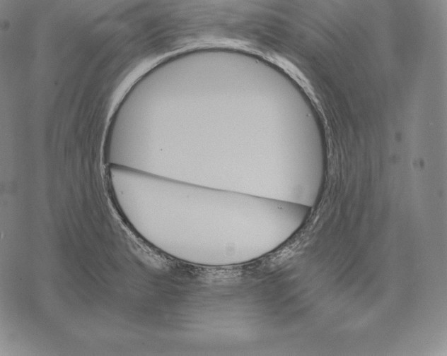 X0000075861183200610151628