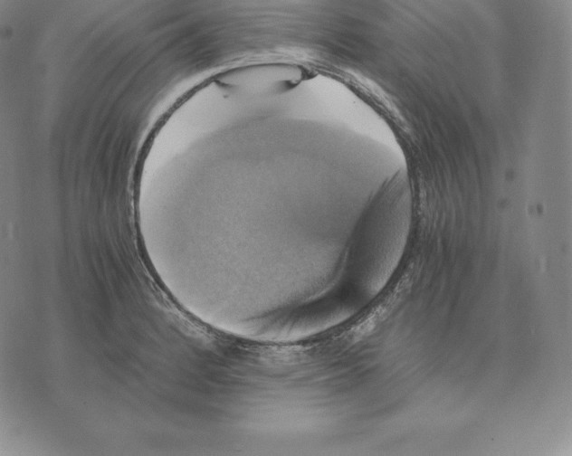 X0000075861184200610151627