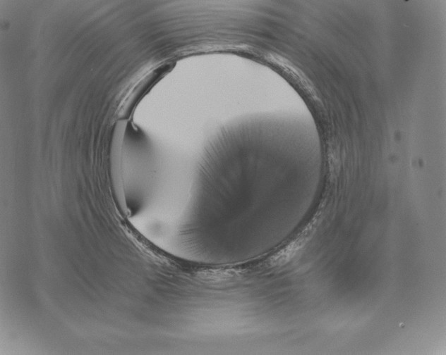 X0000075861185200610151627