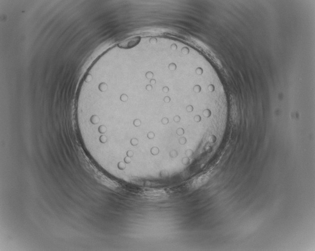 X0000075861186200610151627