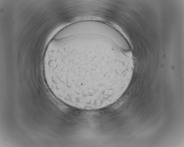 X0000075861187200610151627