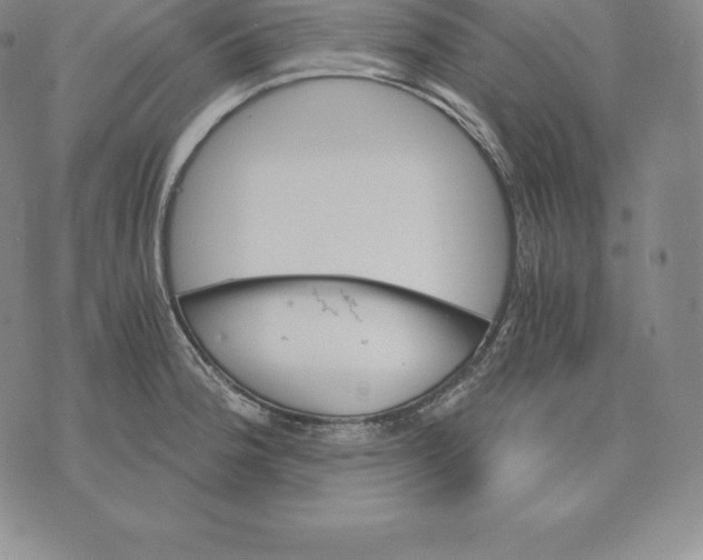 X0000075861188200610151627