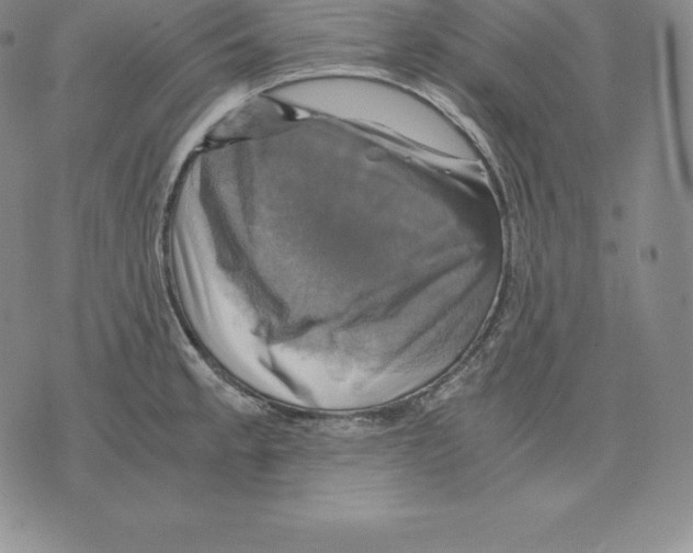 X0000075861189200610151627