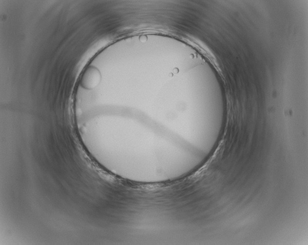 X0000075861190200610151627