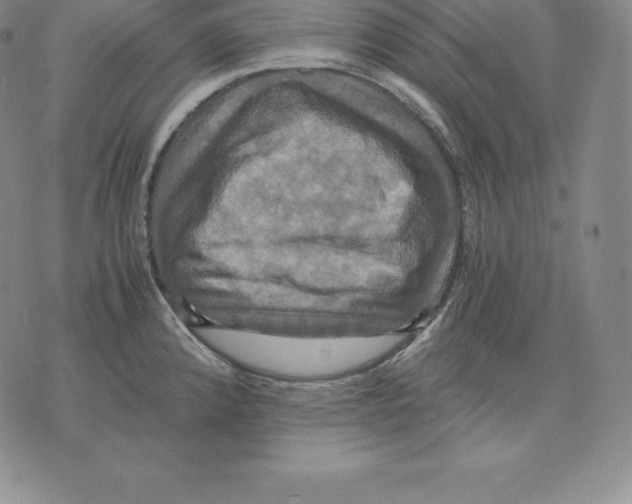 X0000075861192200610151627