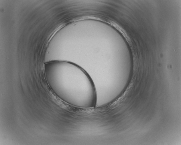 X0000075861193200610151627