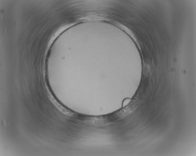 X0000075861195200610151627