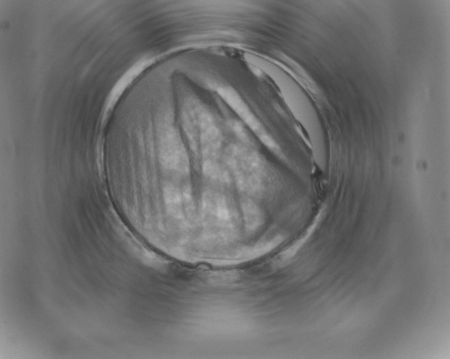 X0000075861196200610151627