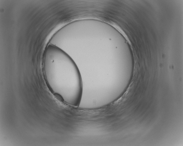 X0000075861197200610151627