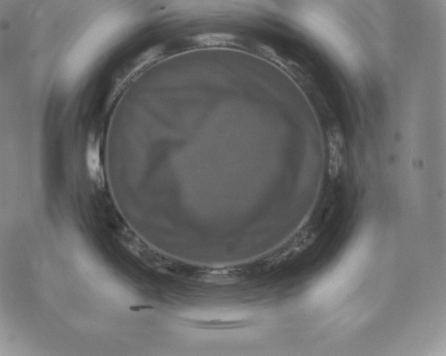 X0000075861198200610151627