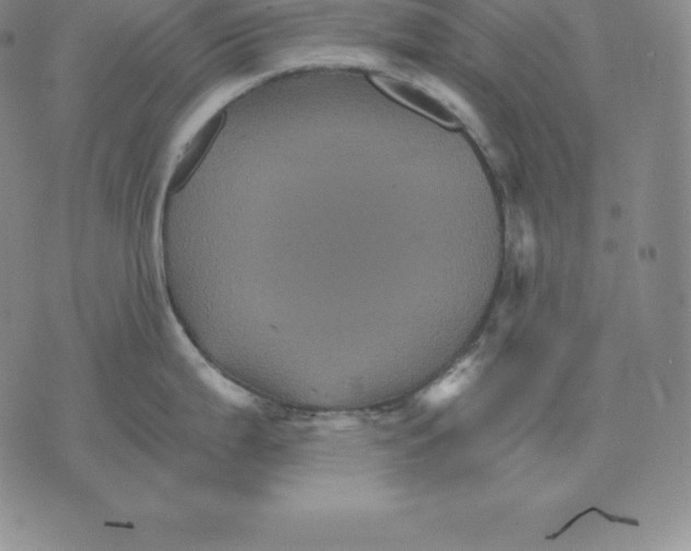 X0000075861199200610151627