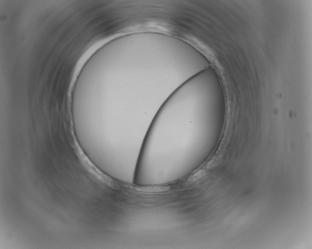 X0000075861200200610151627