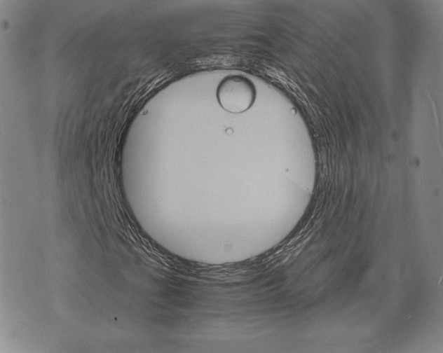 X0000075861201200610151626