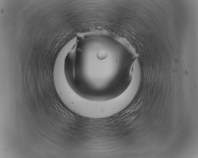 X0000075861202200610151626