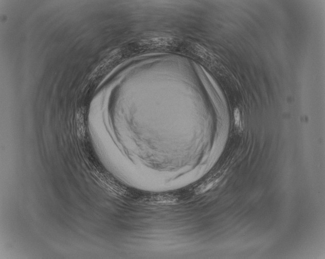 X0000075861203200610151626