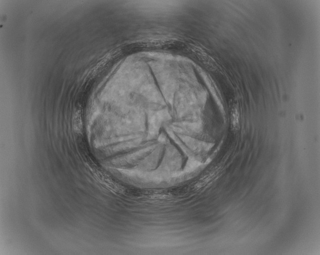 X0000075861204200610151627