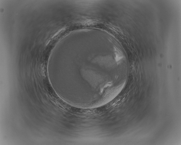 X0000075861205200610151627