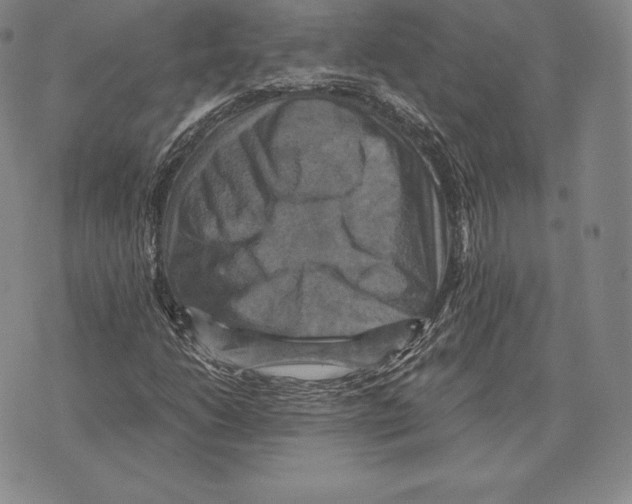 X0000075861206200610151627