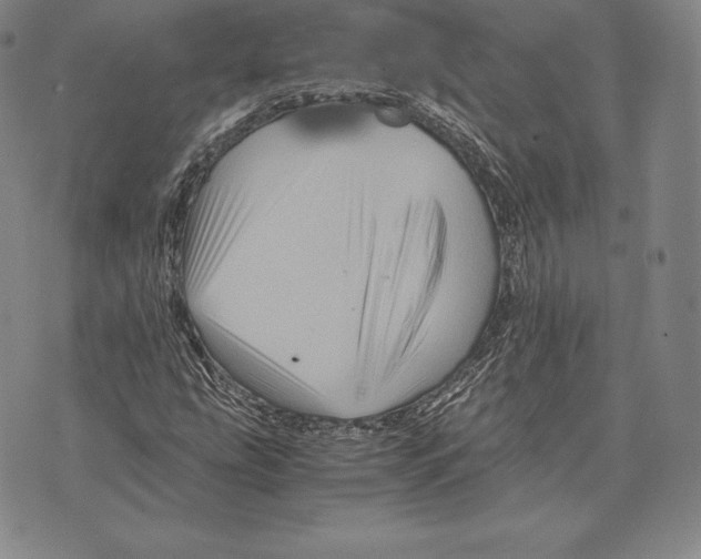 X0000075861207200610151627