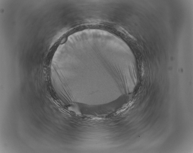 X0000075861208200610151627