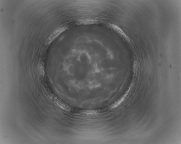 X0000075861209200610151627