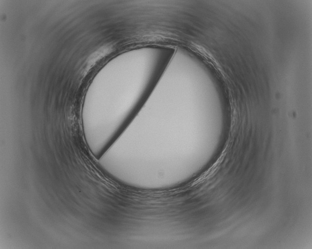 X0000075861210200610151627