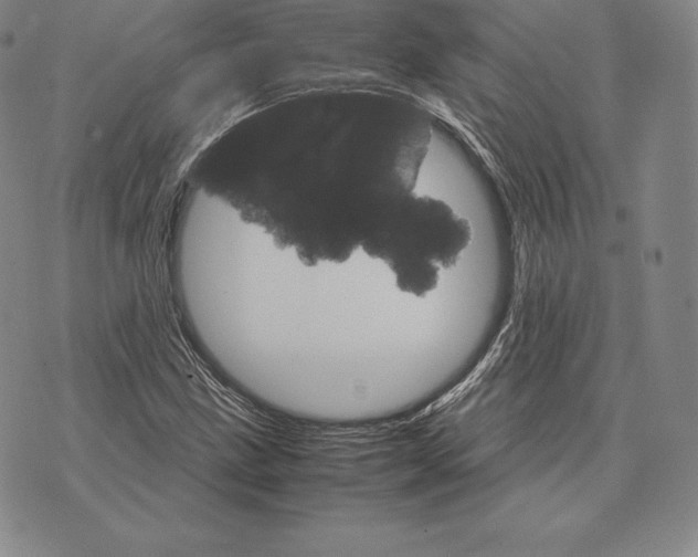 X0000075861211200610151627