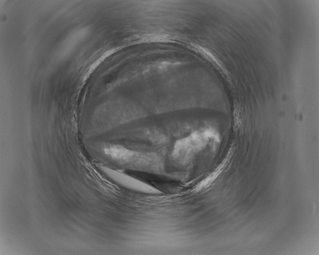 X0000075861212200610151627