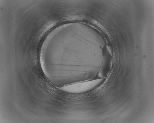 X0000075861213200610151627