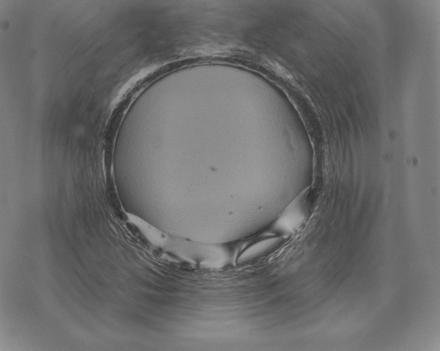 X0000075861214200610151627