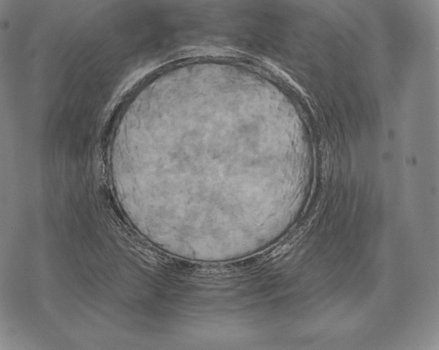 X0000075861215200610151627