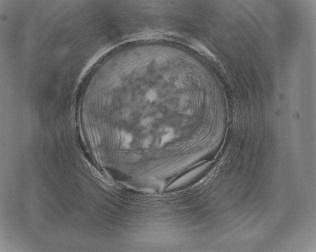 X0000075861216200610151627