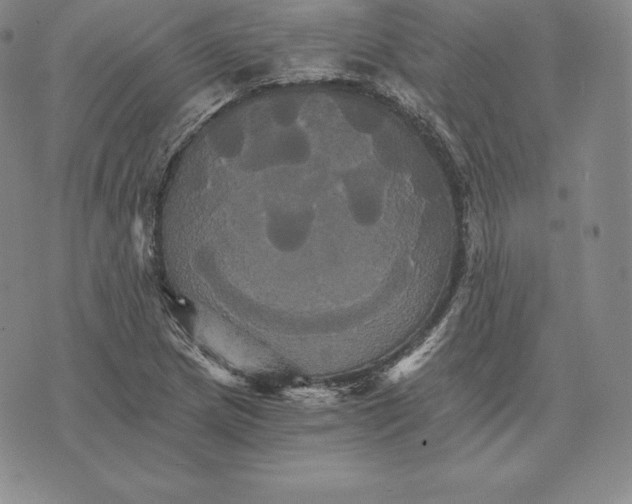 X0000075861217200610151627