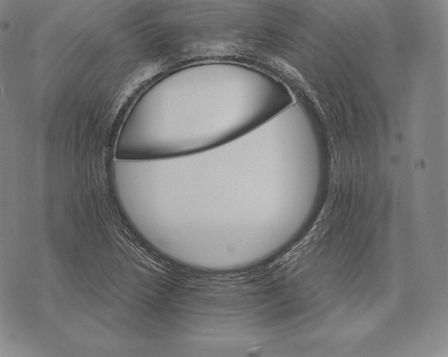 X0000075861218200610151627