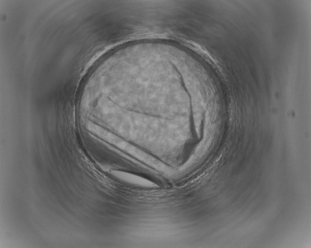 X0000075861220200610151627