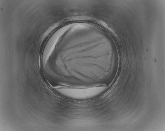 X0000075861221200610151627