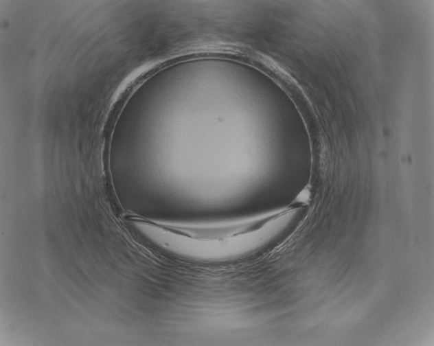 X0000075861222200610151627