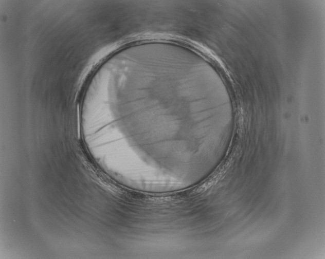 X0000075861223200610151627