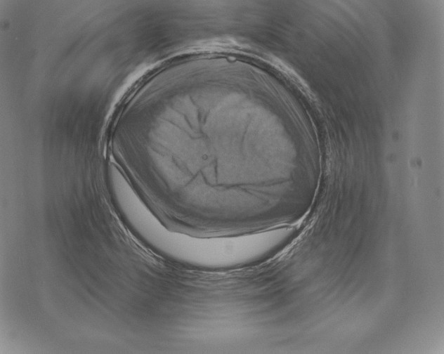 X0000075861224200610151627