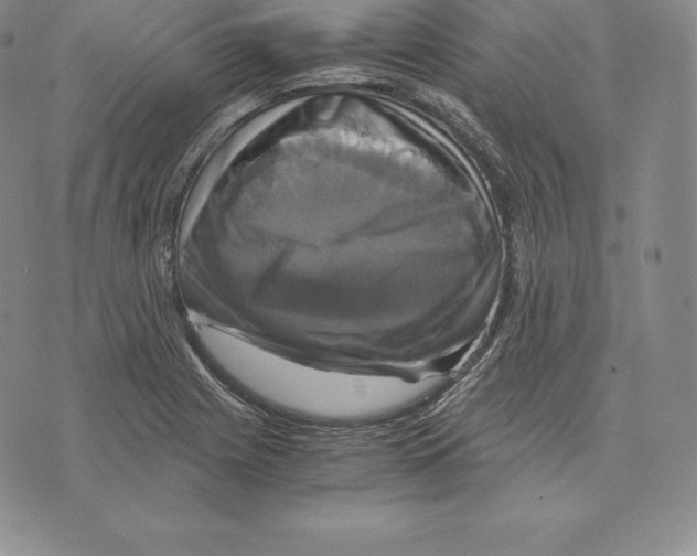 X0000075861225200610151627