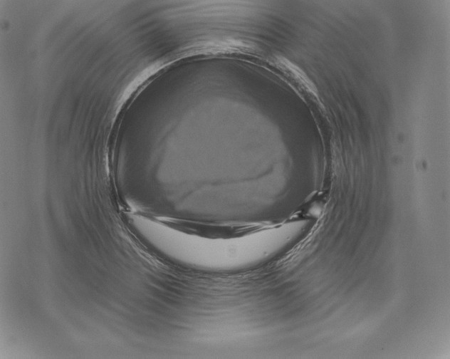 X0000075861226200610151627